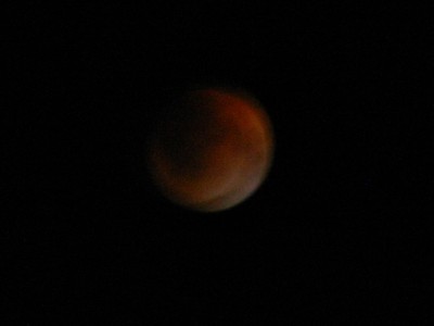 IMG_5370_1210_smallc.JPG