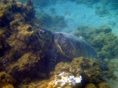 img_5172.jpg