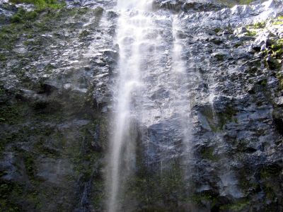 img_5488.jpg