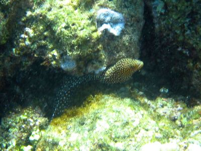 img_5727.jpg